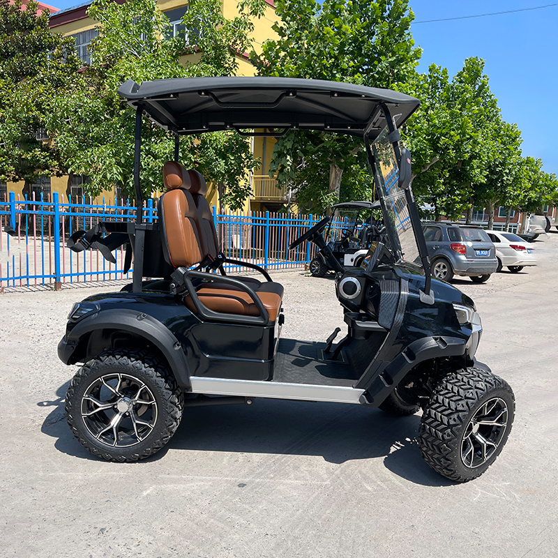 Electric 2 Seater Golf Cart Top Quality Mini Leisure Vehicle Powerful Motor Long Range Battery Resort Community Course Use