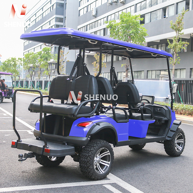 6 Seater Off-Road Electric Golf Cart 72V, Solar Powered with Lithium Battery Details