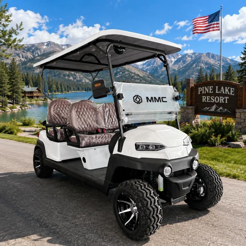 Professional Street Legal 4 Seater Electric Golf Cart Neighborhood Vehicle for Rental Fleet Use EV