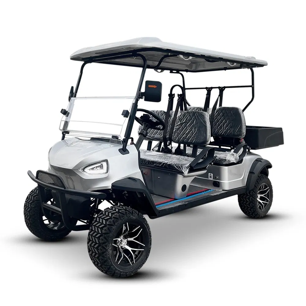Driving-Stable Performance High Speed Capable AC 4kw Motor Driven Golf Buggies Cart