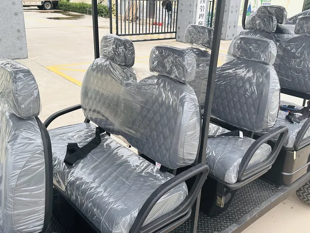 Powerful Smooth Stable High-Performance Low-Speed Electric Community Cart with off-Road Tire