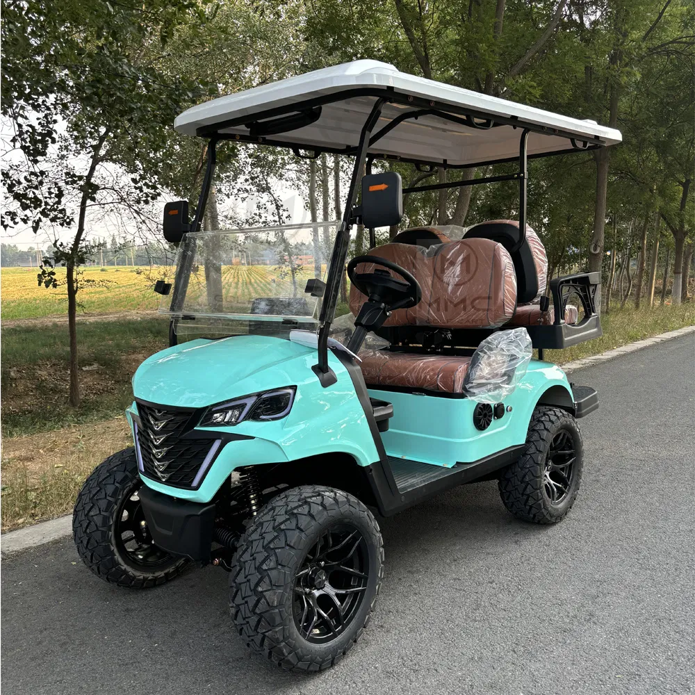 Electric Golf Cart Details