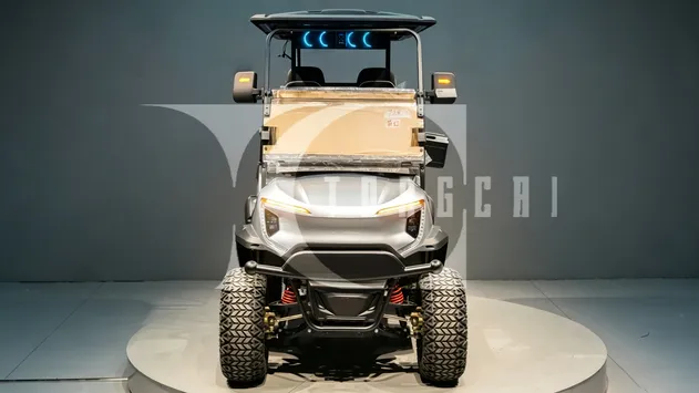 Electric Golf Cart Smart Dashboard detail