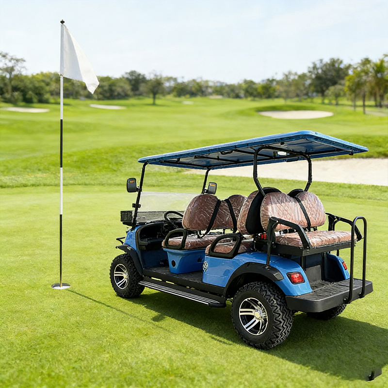 WOLAN Source Plant48V-150ah Lithium Battery Basic 6 Seater Electric Golf Cart Street Legal for Budget Rental Fleet Service