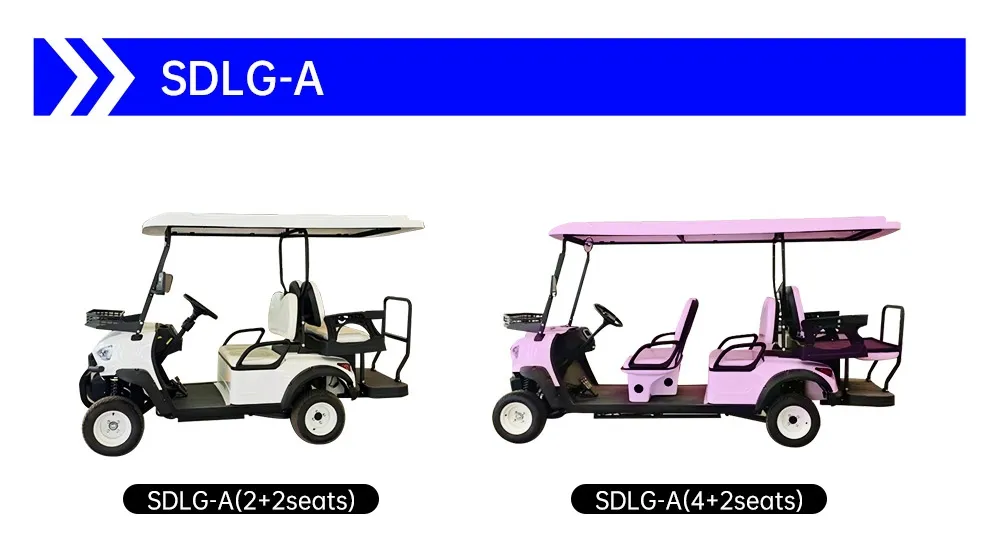 Premium Mini Golf Car Details