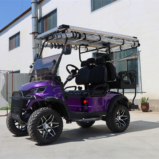 Customized Service 2+2-seater Cart Solar Panel Four Wheel Electric Golf Cart 48V Battery 50-70km Range Steel Chassis Intelligent