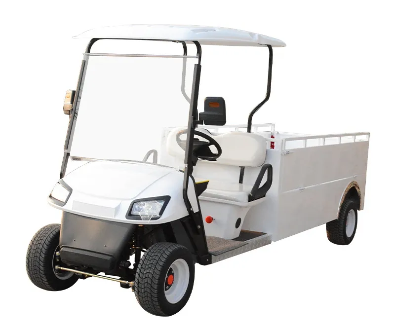 Electric Utility Cargo Golf Cart Visual Show 1