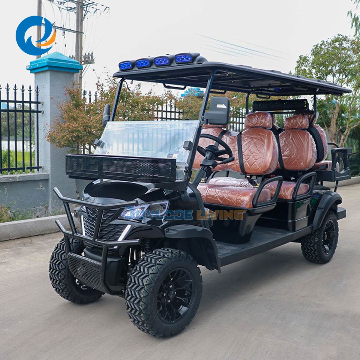 Golf Cart Rental Management Software Booking System Fleet Optimization Metal 5KW AC Motor Lead Acid Battery