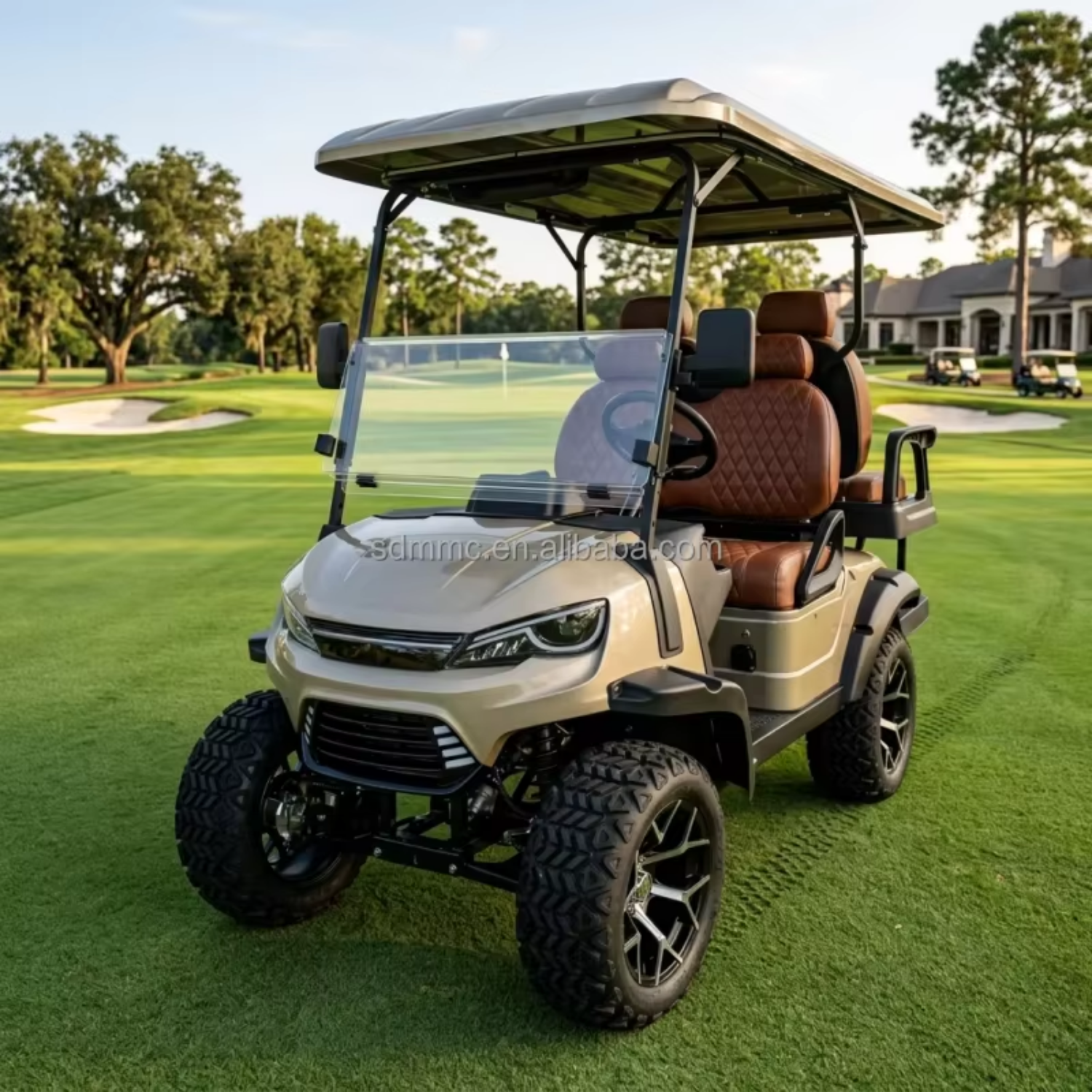 Professional Street Legal 4 Seater Electric Golf Cart Neighborhood Vehicle for Rental Fleet Use EV