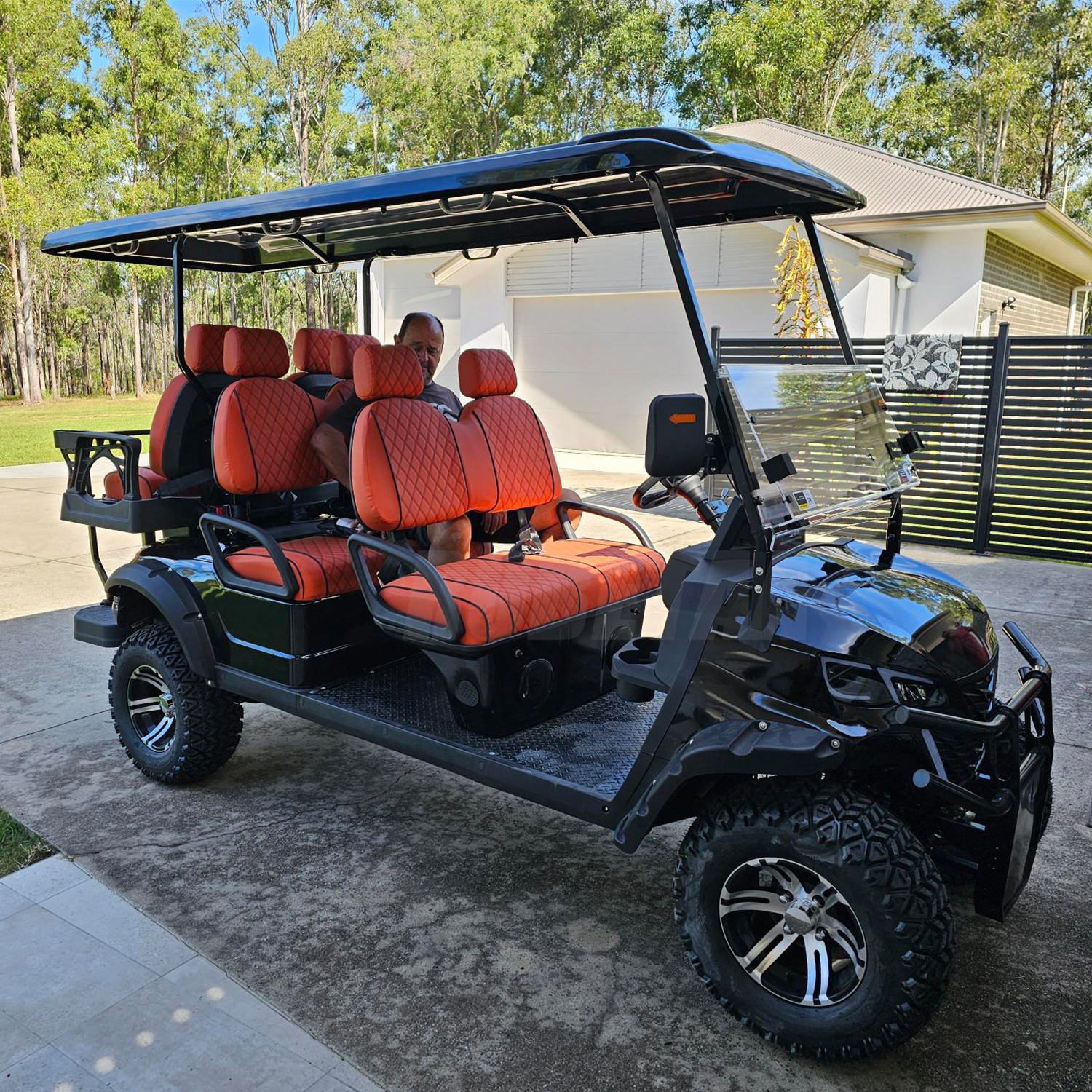 Robetaa 6 Passenger Electric or Gas Golf Cart Wholesale Luxury Golf Carts Accept Customized Seats and Colors