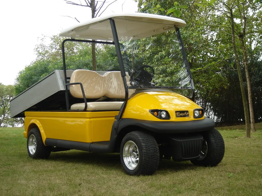 Ce Approved 2 Seater Utility Electric Golf Cart View 2