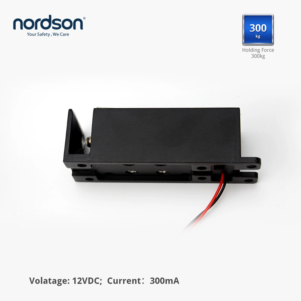 DC 12V/24V Safety Hidden Furniture Drawer Mailbox Sauna Gym Vending Machine Delivery Express RFID Card Combination Smart Electronic Cabinet Door Locker Lock