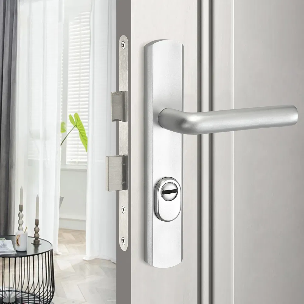 Stainless Steel Push and Pull Plate Door Handle Lock Set Lever Door Handles Black