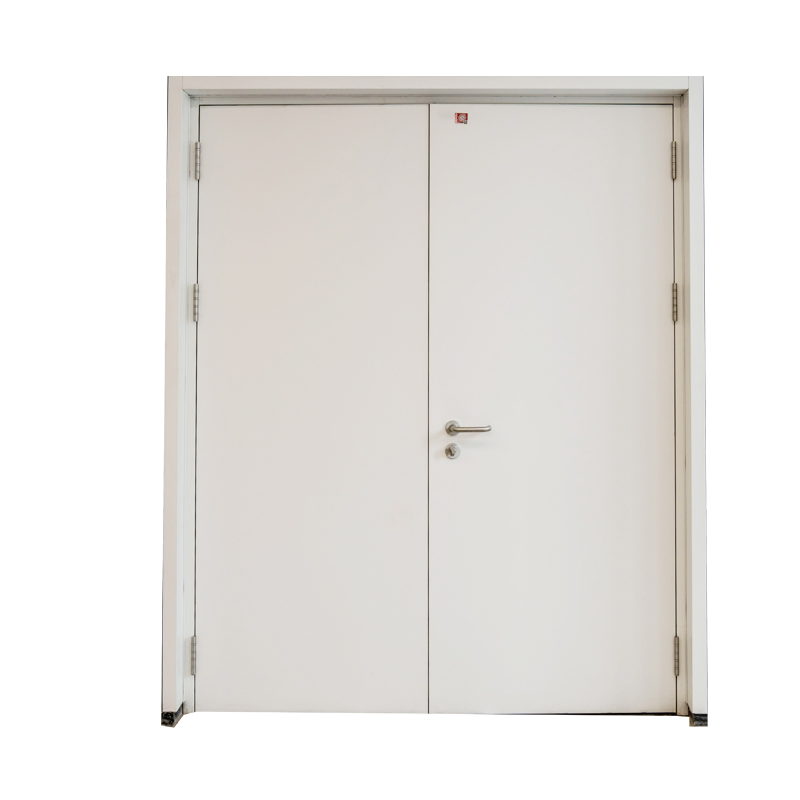 Customized CE Apartment Galvanized Steel Fireproof Soundproof Security Door Fire Rated Door