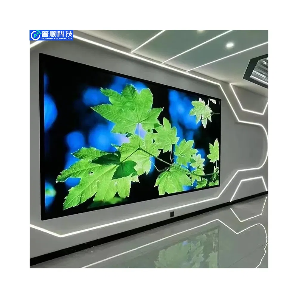 Pushunled High Definition Commercial LED Video Panel Screen P3 Indoor LED Display