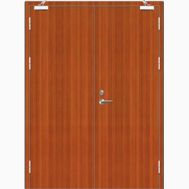 Safe Steel School Gate Fire Rated Classroom Protection Steel Door with Locking System