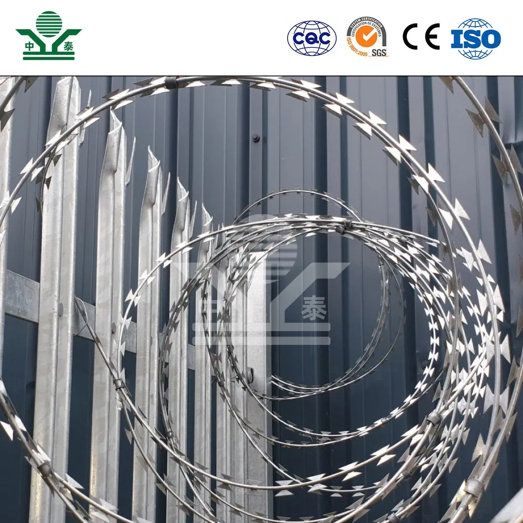 Zhongtai Galvanized Citadel Barb Wire China Manufacturers 980mm Diameter 600mm Coil Diameter Concertina Razor Barbed Wire Used for Anti Climb Mesh 358 Fence