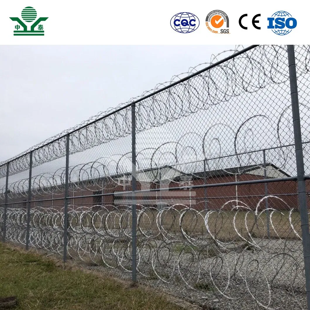 Zhongtai Custom Ring Barbed Wire China Suppliers 730mm Coil Diameter Ribbon Barbed Wire Used for Backyard Security Fence
