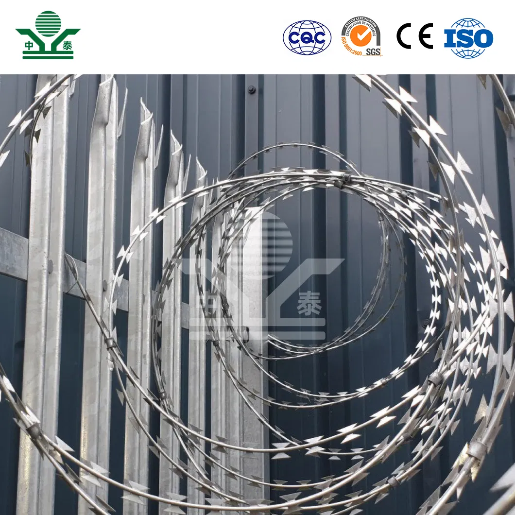 Razor Wire Top View