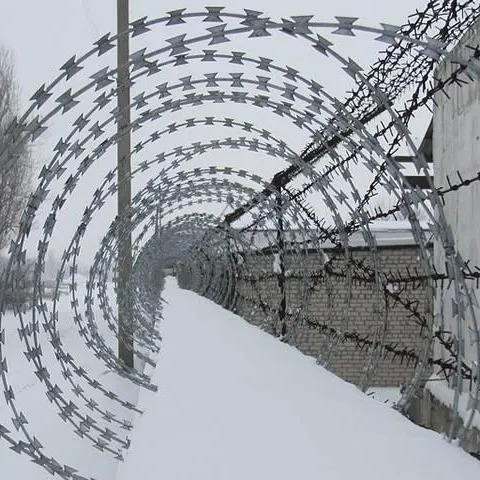 Razor Wire Photo 3
