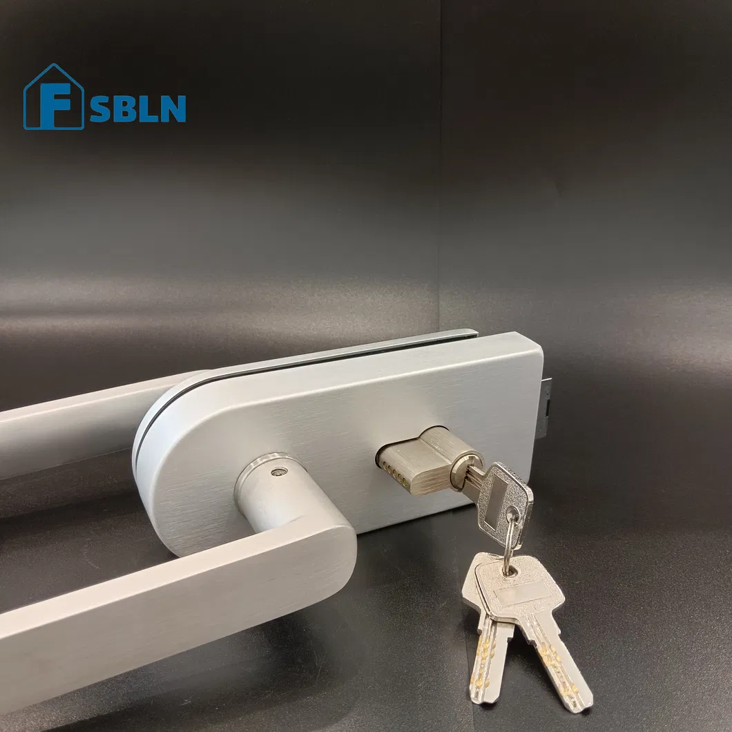 Door Pull Handle Lock Set