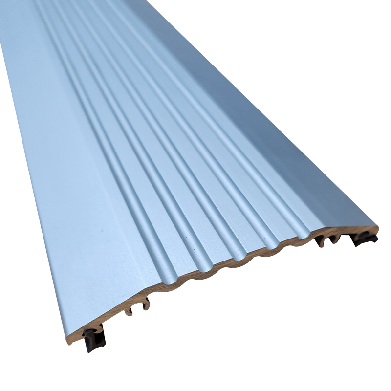 Weatherproof Entry Threshold Threshold Plate for Smooth Floor Transition