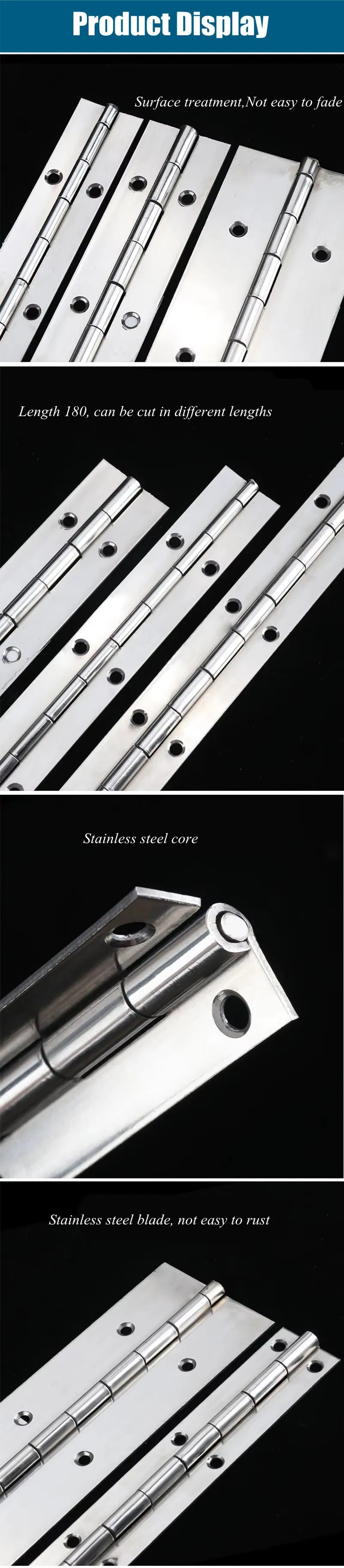 Heavy Duty Piano Hinge Detail 1