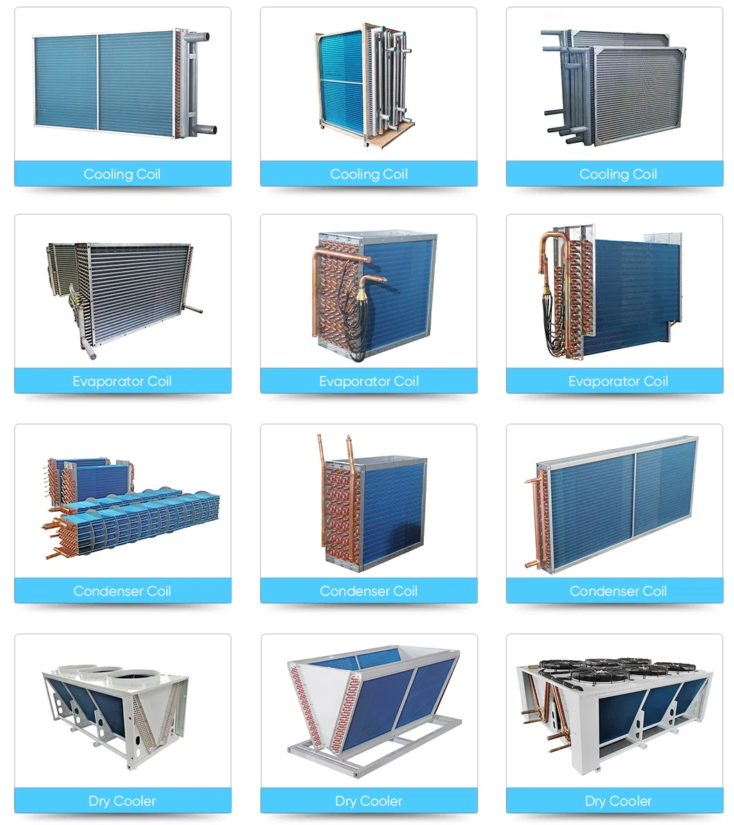 Main Product Showcase