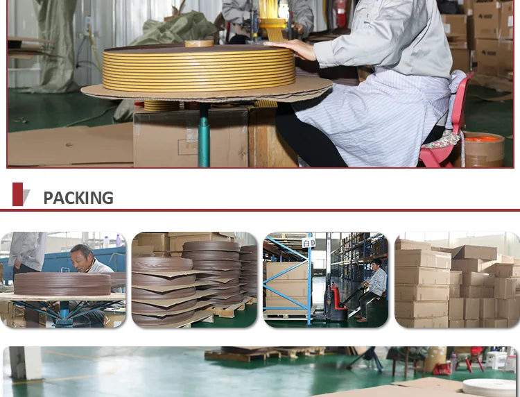 Seal Strip Profile 4