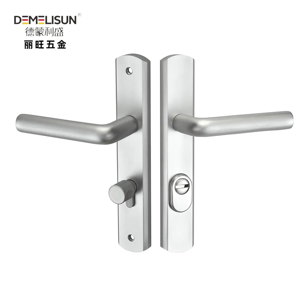 Stainless Steel Push and Pull Plate Door Handle Lock Set Lever Door Handles Black