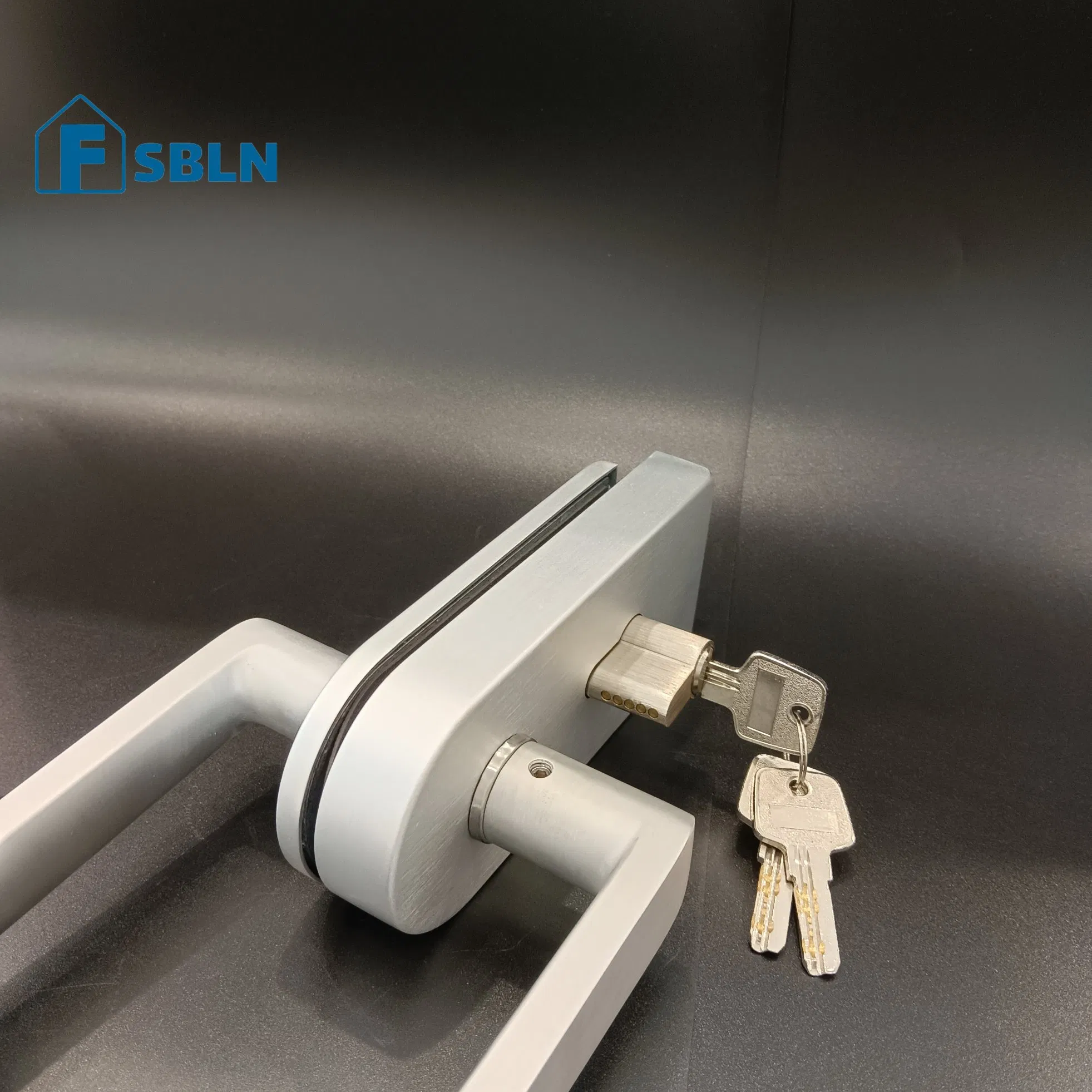Modern Stainless Steel Glass Door Pull Handle Lock Set