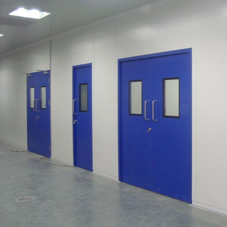 China Foshan GMP Standard Hospital Pharma Clean Room Fire Rated Double Leaf Panel Steel Door
