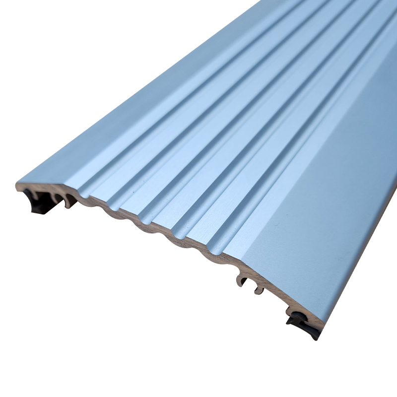 Threshold Plate for Wheelchair Access