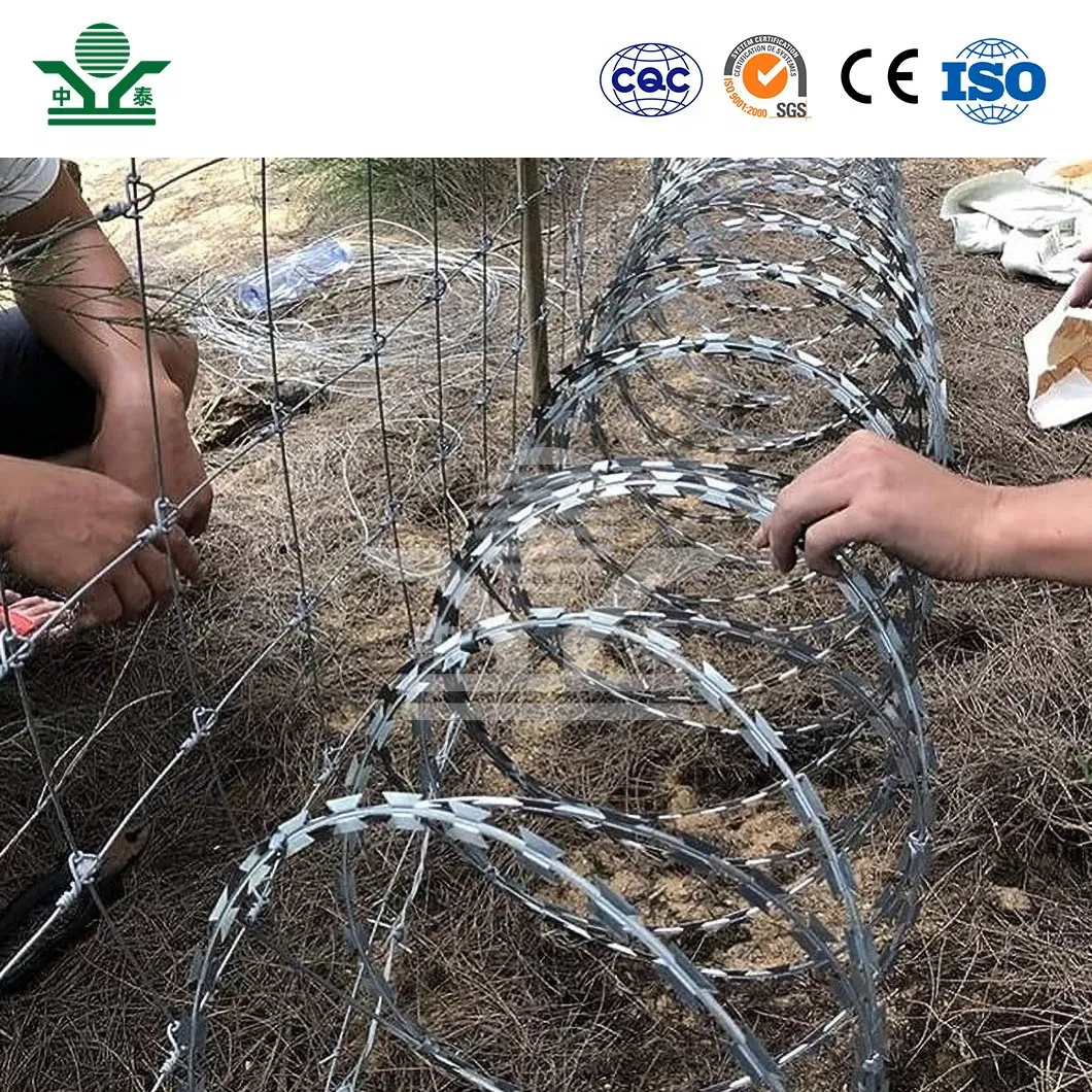 Zhongtai Building Barbed Wire Fence China Factory 300mm Coil Diameter Razor Wire Barbed Wire Used for High Security Dense Mesh Fence Panels 358 Anti Climb