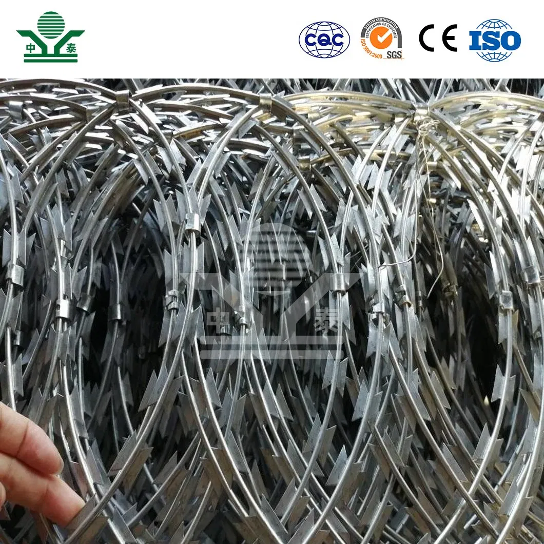 Zhongtai Building Barbed Wire Fence China Factory 300mm Coil Diameter Razor Wire Barbed Wire Used for High Security Dense Mesh Fence Panels 358 Anti Climb