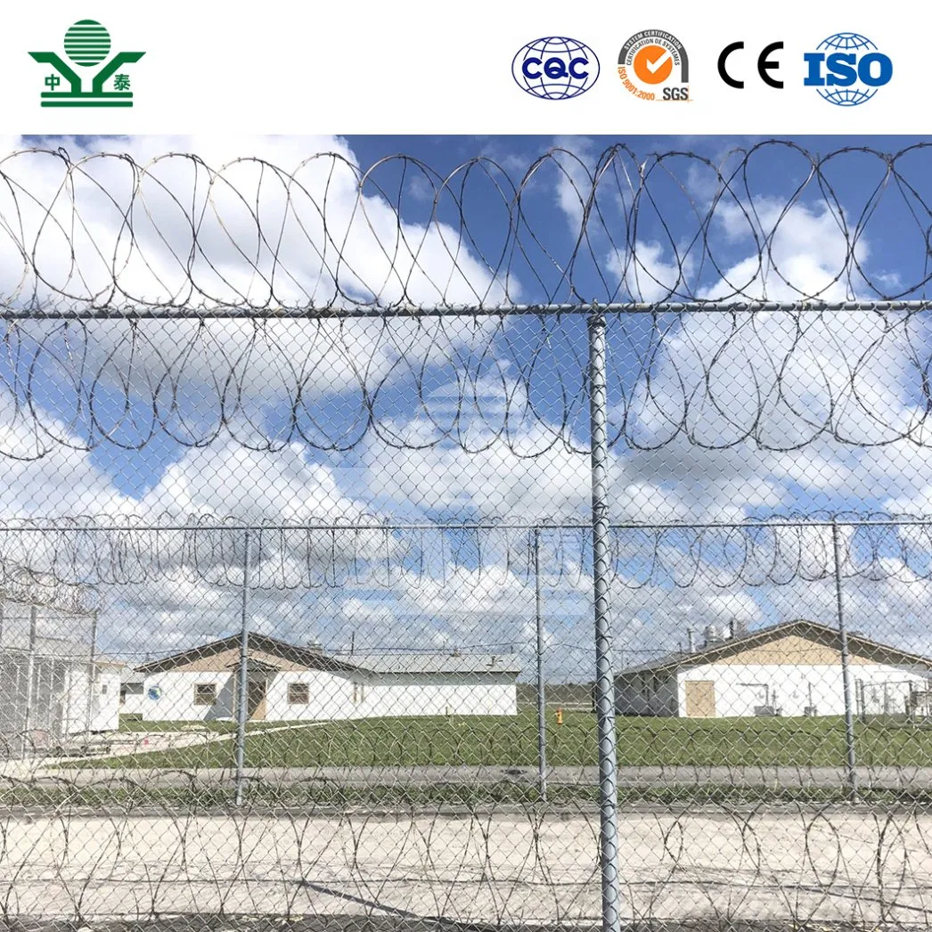 Zhongtai Custom Ring Barbed Wire China Suppliers 730mm Coil Diameter Ribbon Barbed Wire Used for Backyard Security Fence