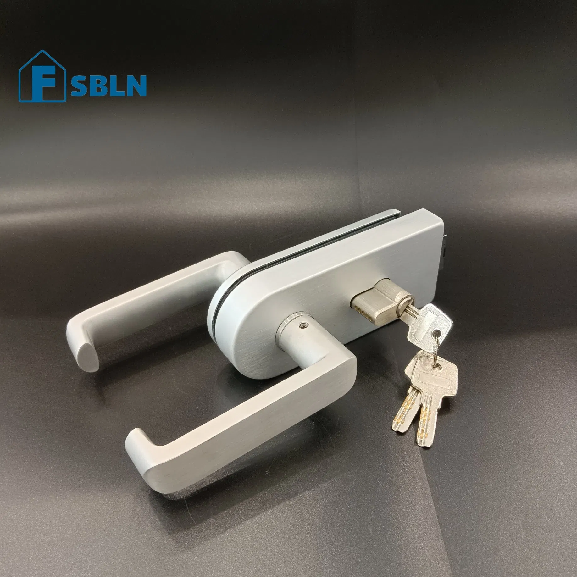 Modern Stainless Steel Glass Door Pull Handle Lock Set