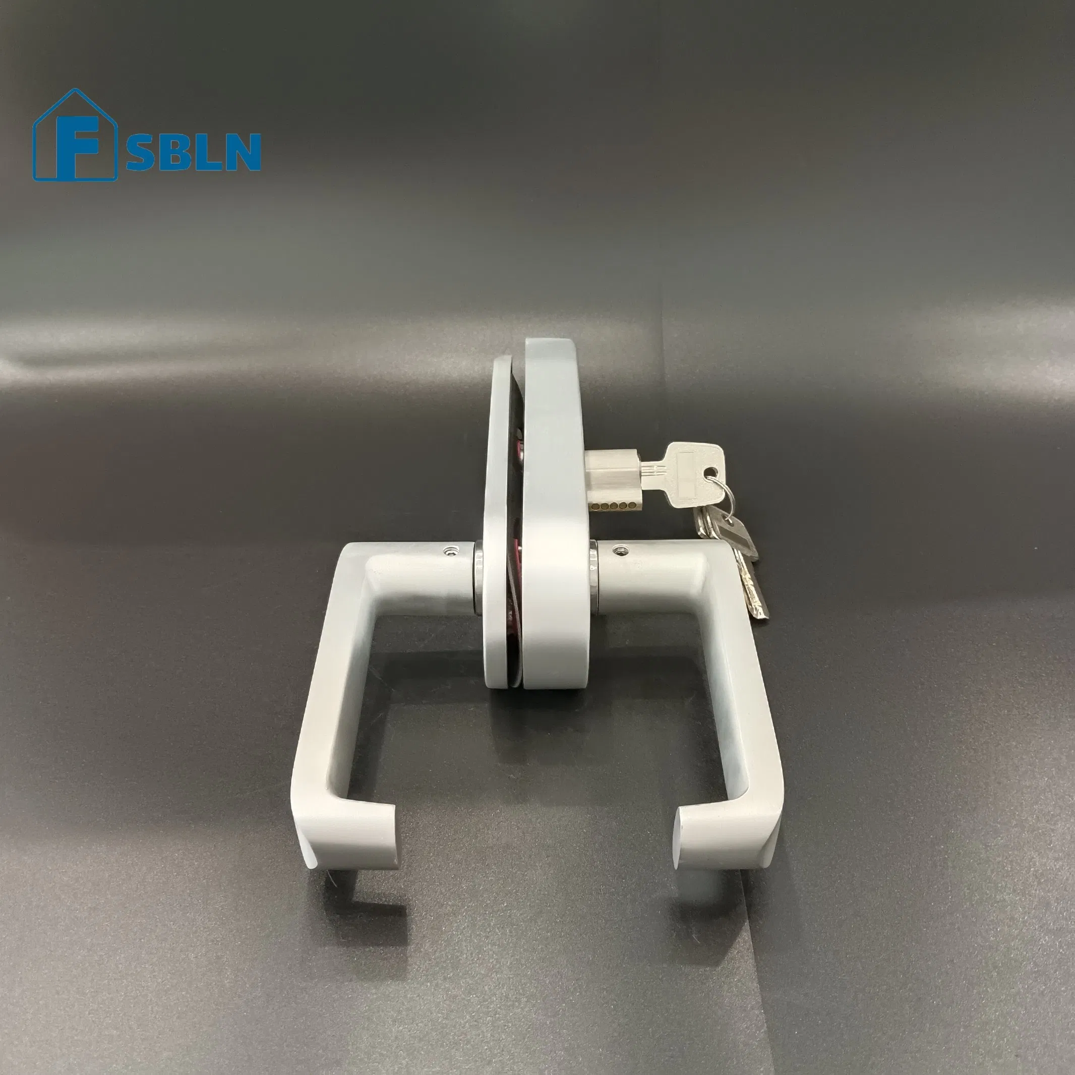 Modern Stainless Steel Glass Door Pull Handle Lock Set