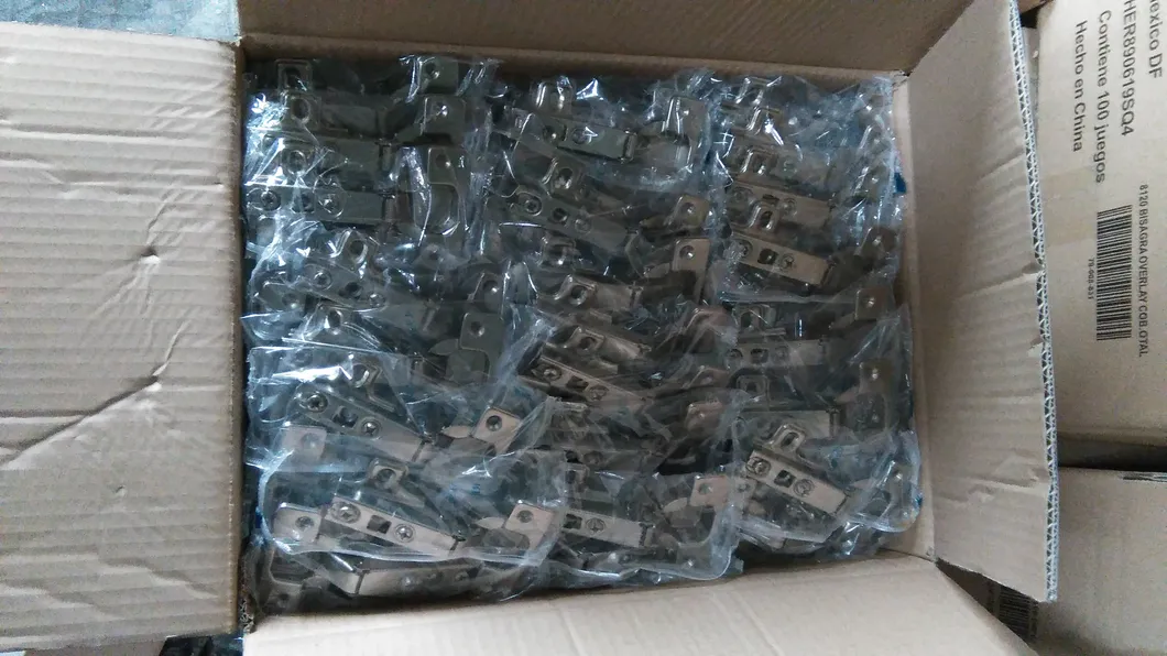 Cabinet Hinge Detail 8