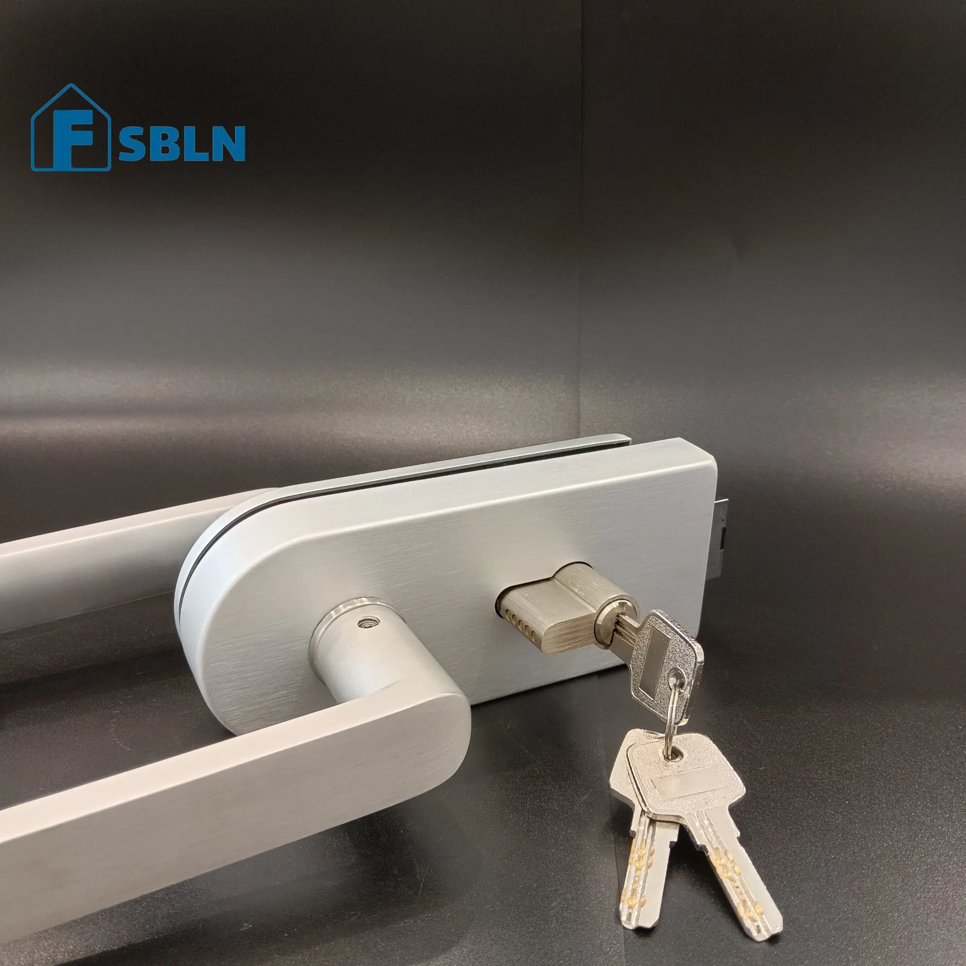 Modern Stainless Steel Glass Door Pull Handle Lock Set