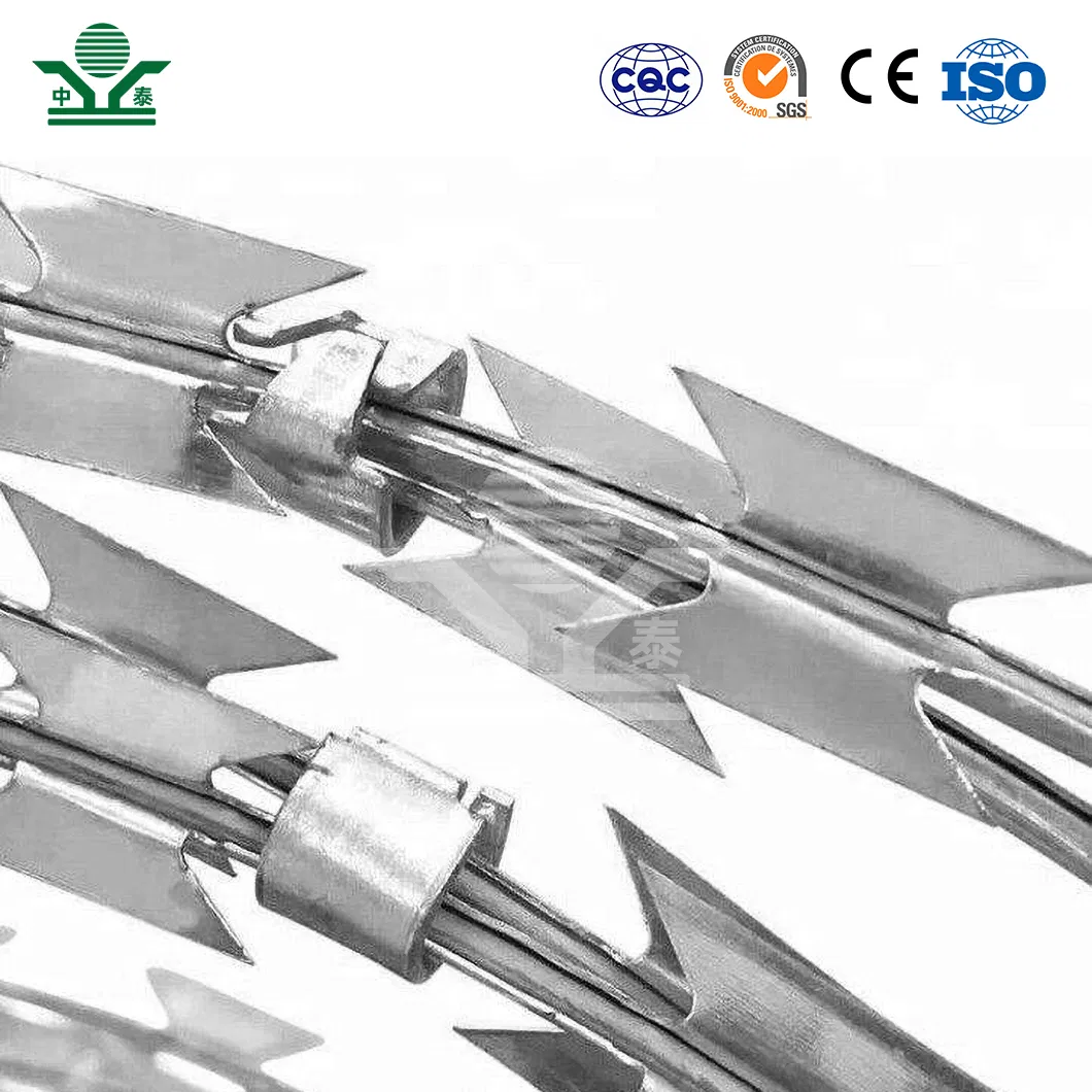 Zhongtai Sharp Blades Concertina Razor Barbed Wire China Manufacturing 50 Inch Coil Diameter Electro Galvanized Barbed Wire Used for 8 Gauge Wire Prison Fence