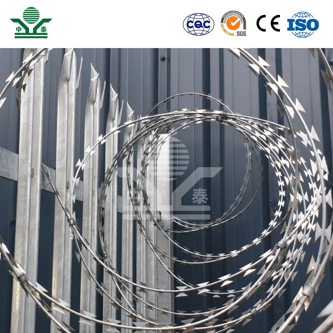 Zhongtai Sharp Blades Concertina Razor Barbed Wire China Manufacturing 50 Inch Coil Diameter Electro Galvanized Barbed Wire Used for 8 Gauge Wire Prison Fence