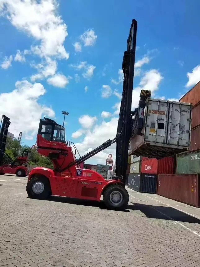 China Top Brand Empty Container Handler Sdce100K9 with Factory Price