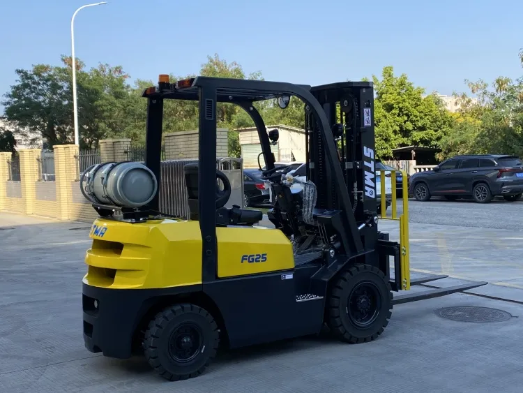 LPG Forklift Back View