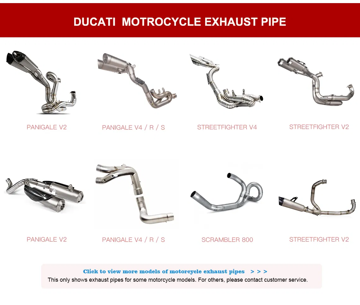 Dual Exhaust System