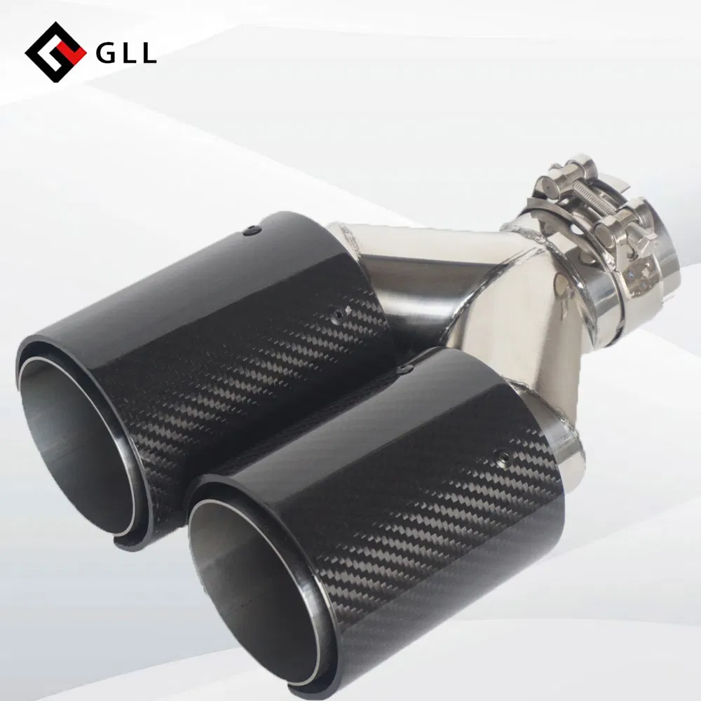 Carbon Fiber Exhaust Muffler Tip H-Shape Double Exit Decoration Universal Stainless Compatible