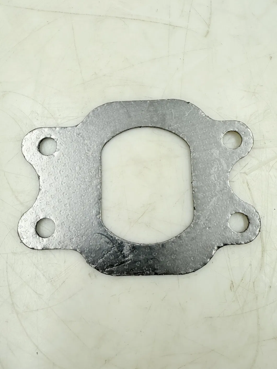 Gasket 1