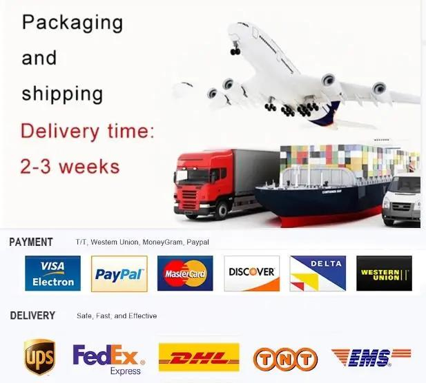 Hot Sale Direct Fit Three Way Exhaust Second Catalytic Converter for Mitsubishi Zinger