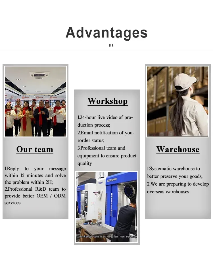 Manufacturing Advantage