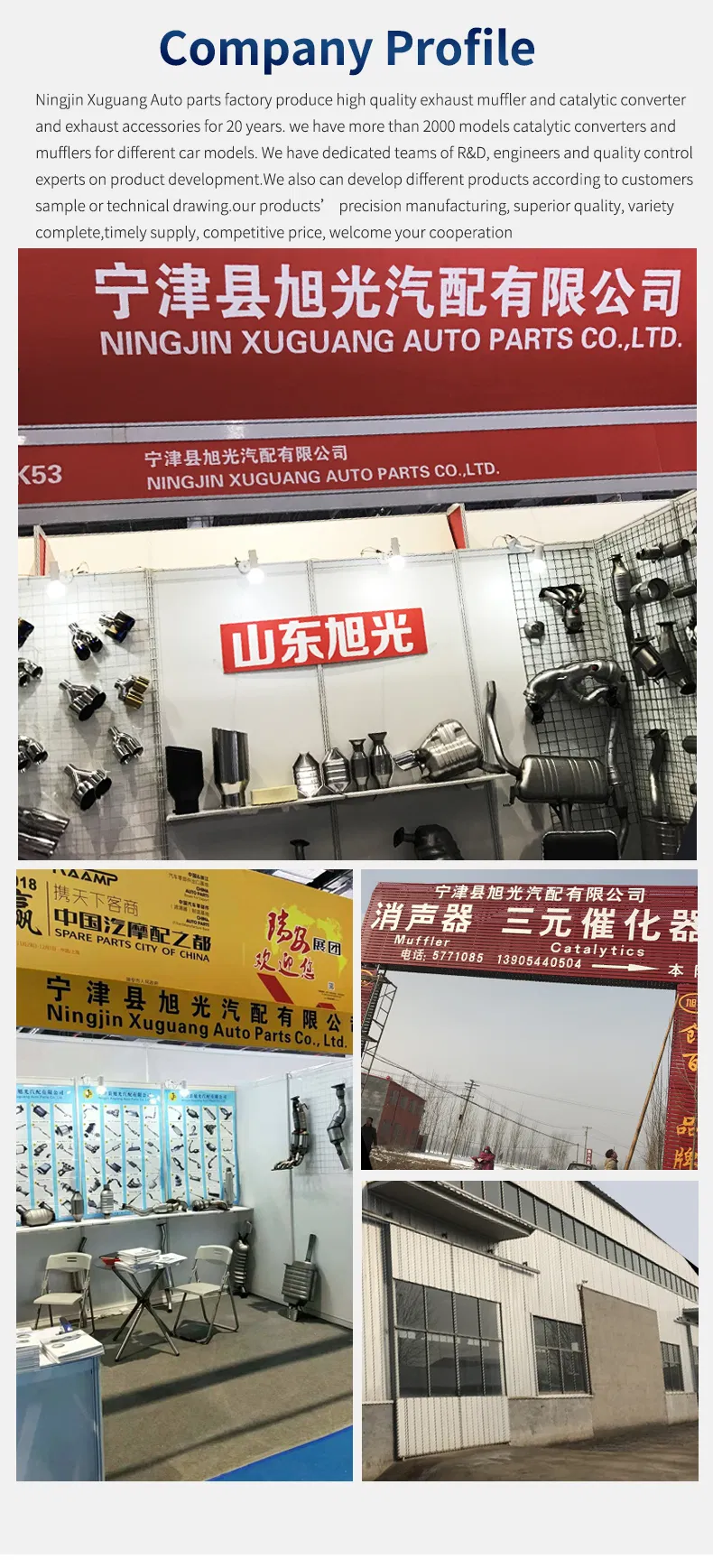 Catalytic Converter Detail 1